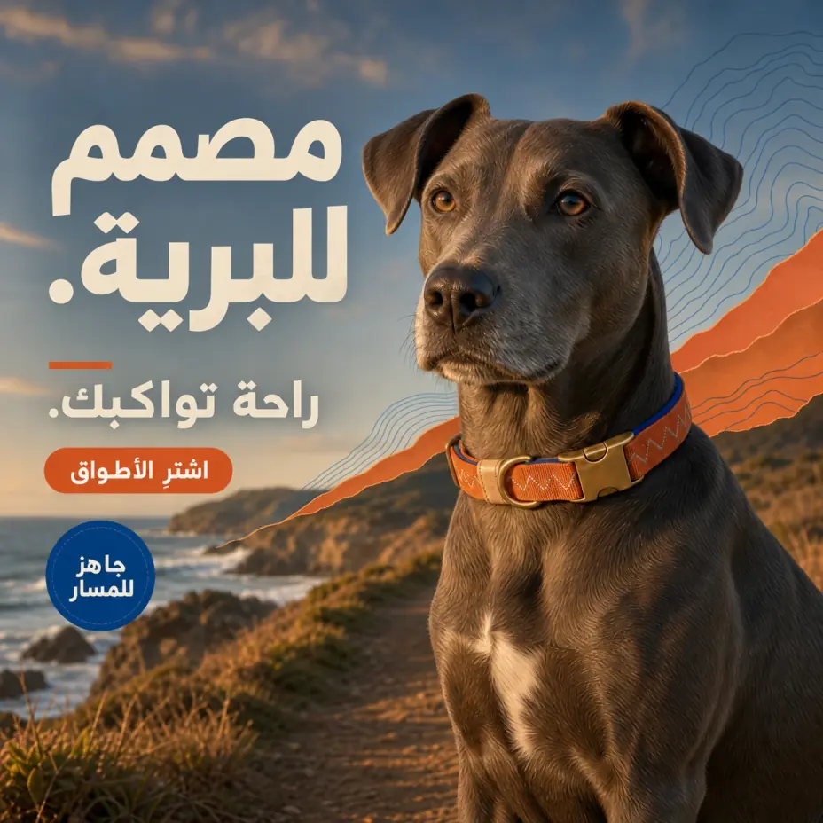 الصورة المُنشأة
