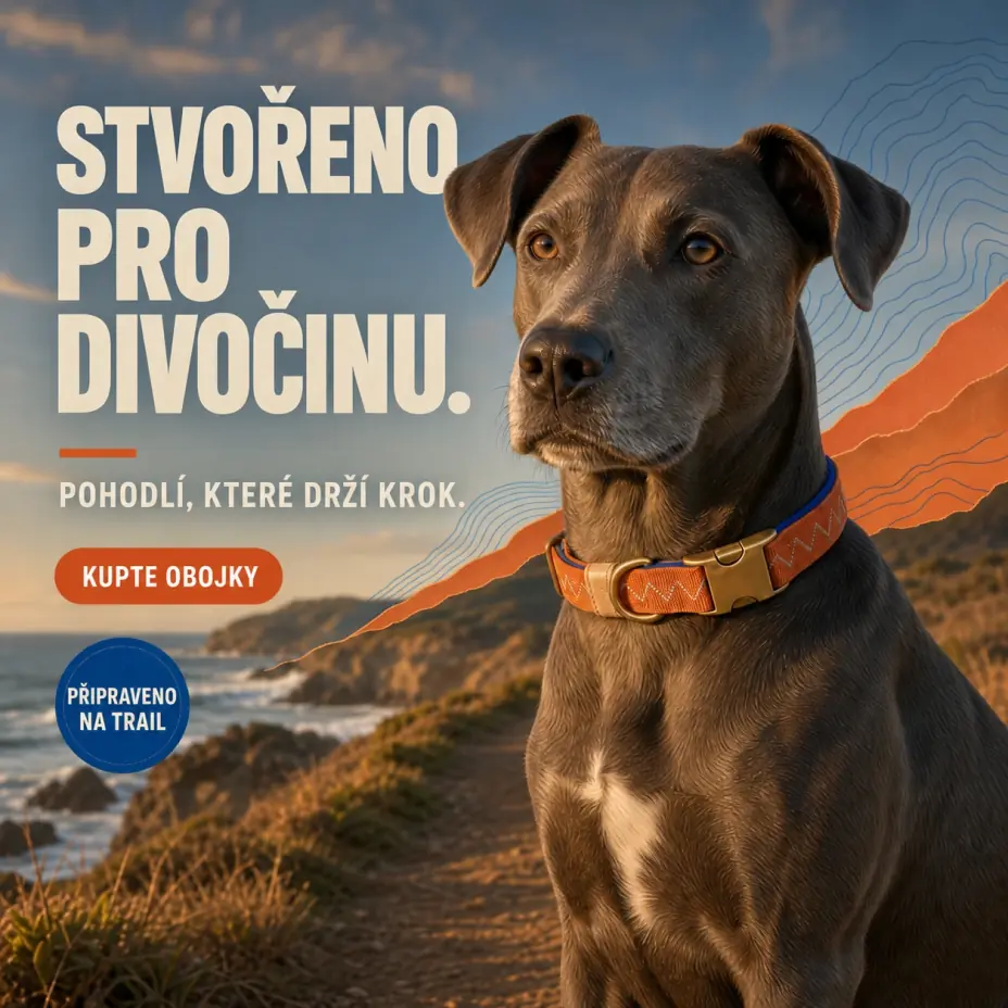 Vygenerovaný obrázek