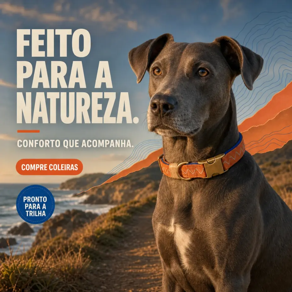 Imagem gerada
